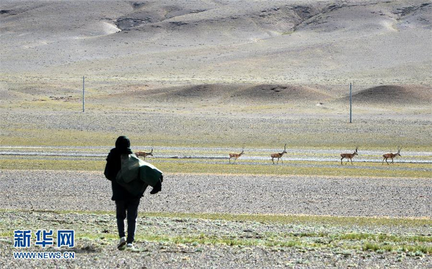 Das Leben im tibetischen Nyima auf 4500 Meter über Meer ist hart. Erst recht, wenn man wie die 26-j?hrige Bamu die Post in den hintersten Winkel des abgelegenen Kreises zustellen muss.