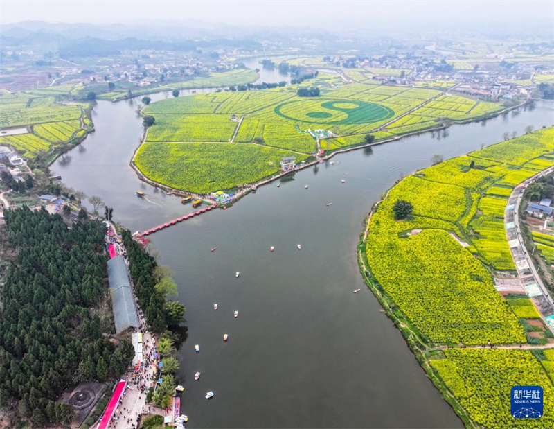 Chongqing: ?Rapsblütenwirtschaft“ f?rdert l?ndliche Entwicklung