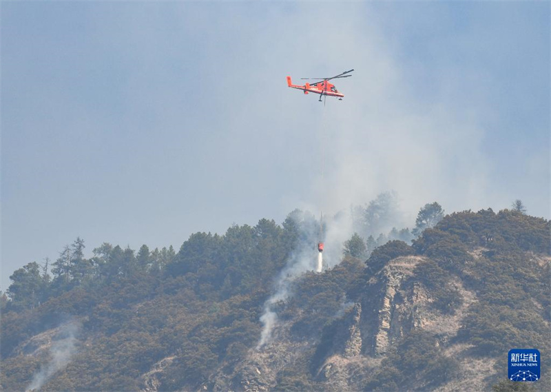 Sichuan: Rettungskr?fte bek?mpfen Waldbrand