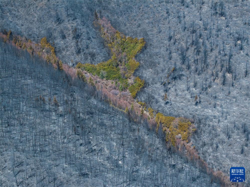 Sichuan: Rettungskr?fte bek?mpfen Waldbrand