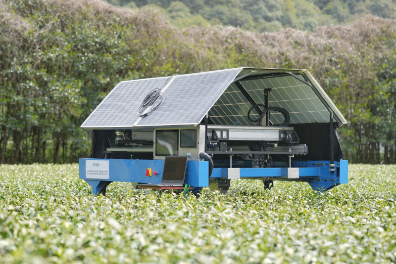 Roboter unterstützen der Teeernte in Hangzhou