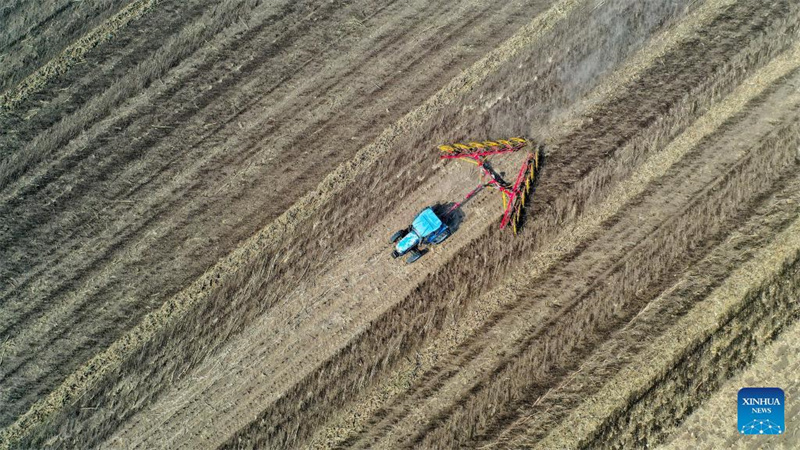 Landwirte beginnen mit dem j?hrlichen Frühjahrspflügen in Nordostchina