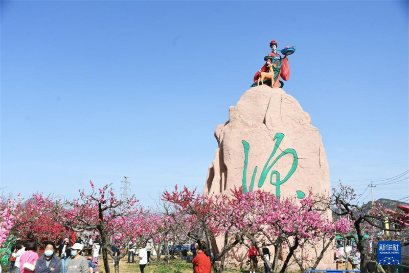 Beijing: 26. Internationales Pfirsichblüten-Festival in Pinggu er?ffnet