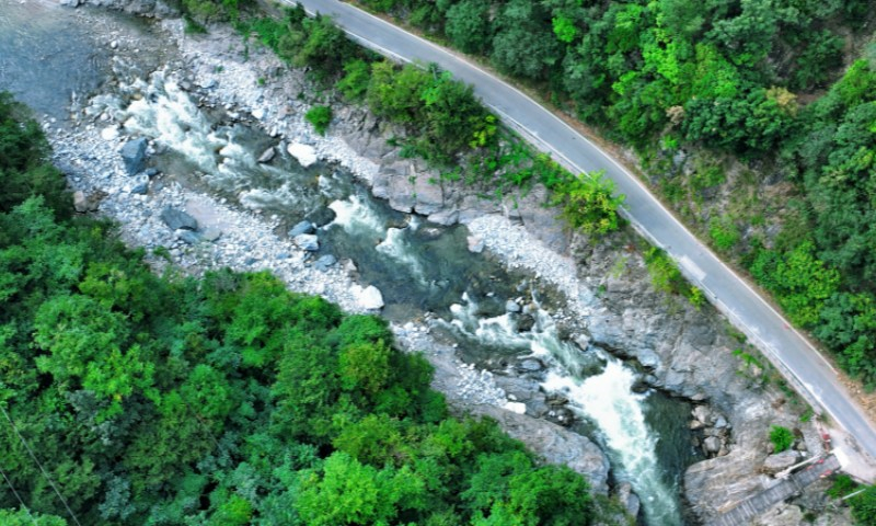 ?kologisch grüne Landschaft im experimentellen Forst Houzhenzi