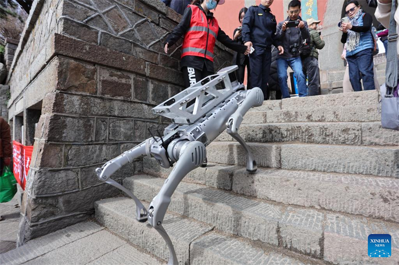 Roboterhund absolviert Testlauf für Schwerlasttransporte