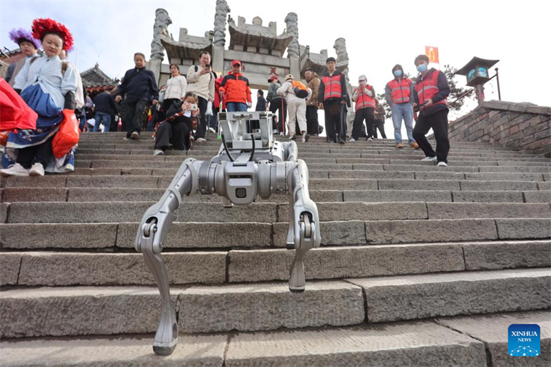 Roboterhund absolviert Testlauf für Schwerlasttransporte